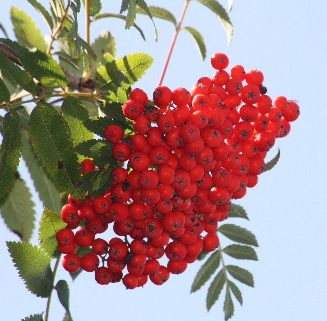 Herbstliche Grüße