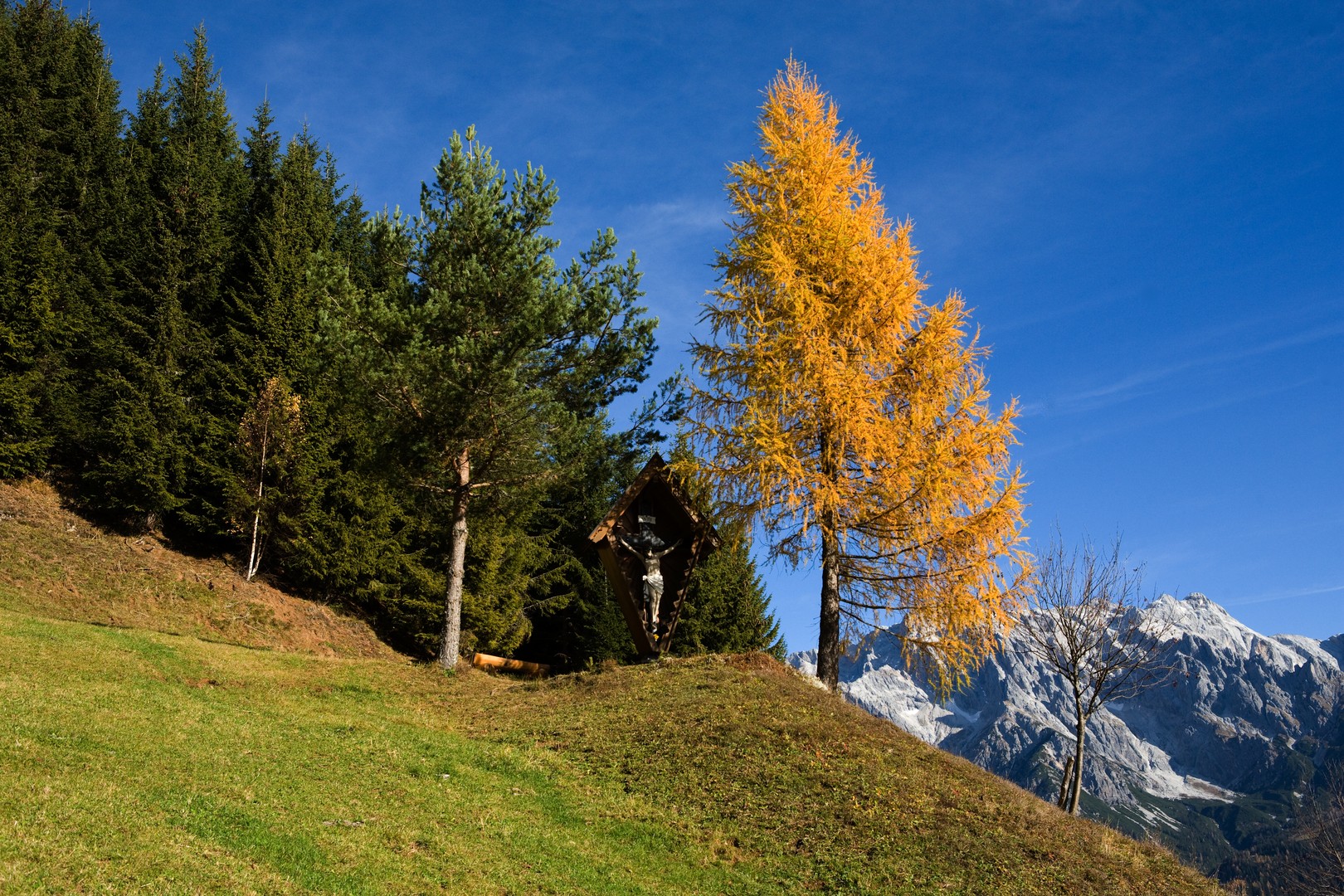 Farben des Herbstes