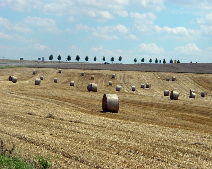 Die Ernte ist eingebracht