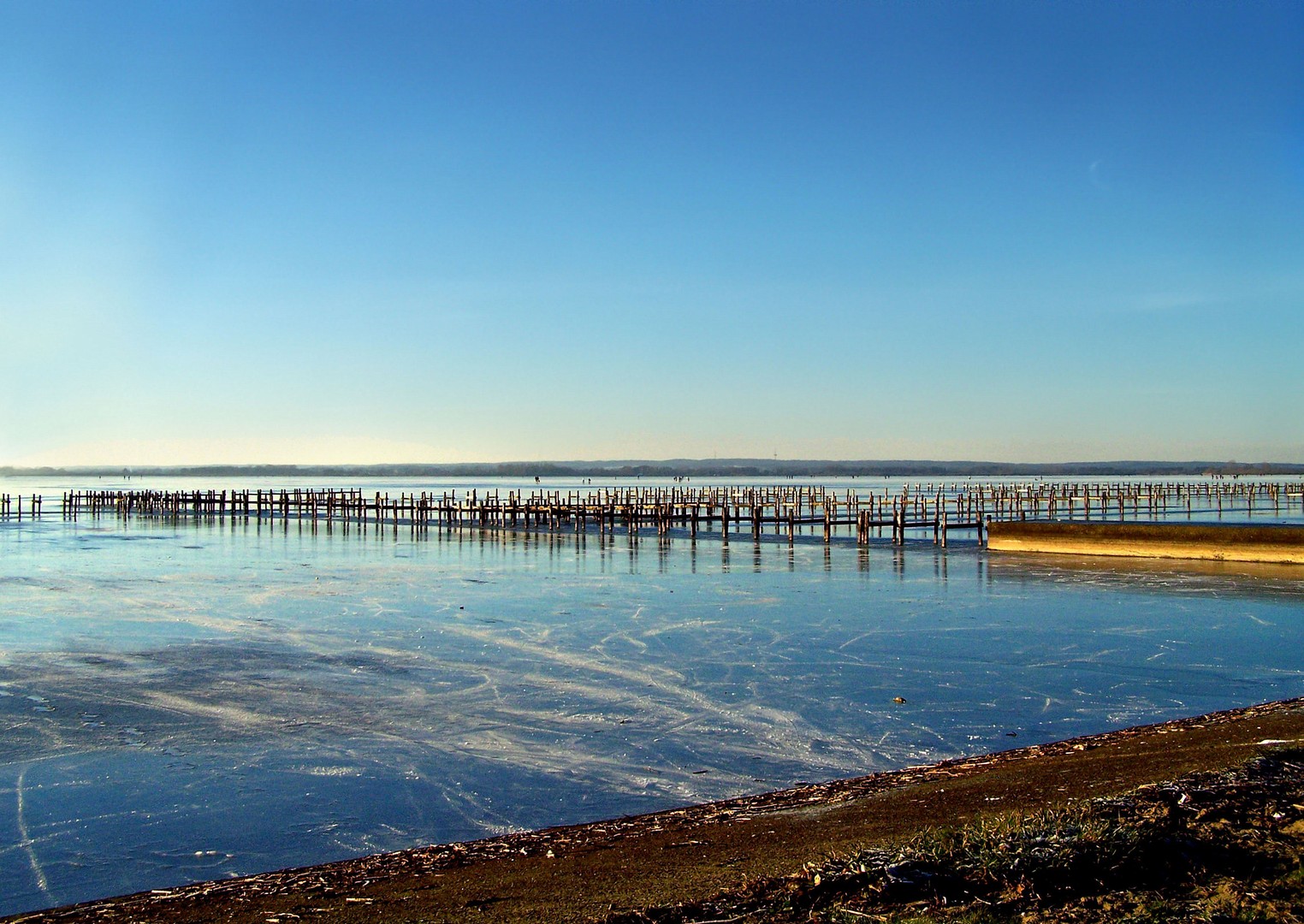 Winterruhe am Dümmer See