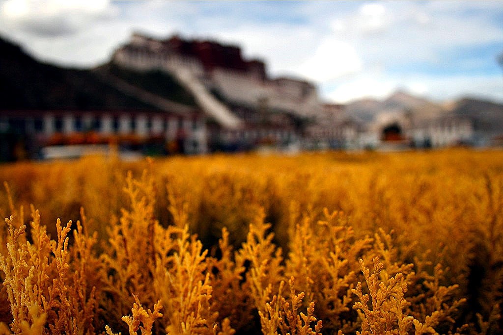 Potala Palace