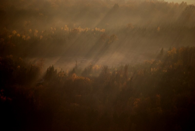 Blick in die Unterwelt