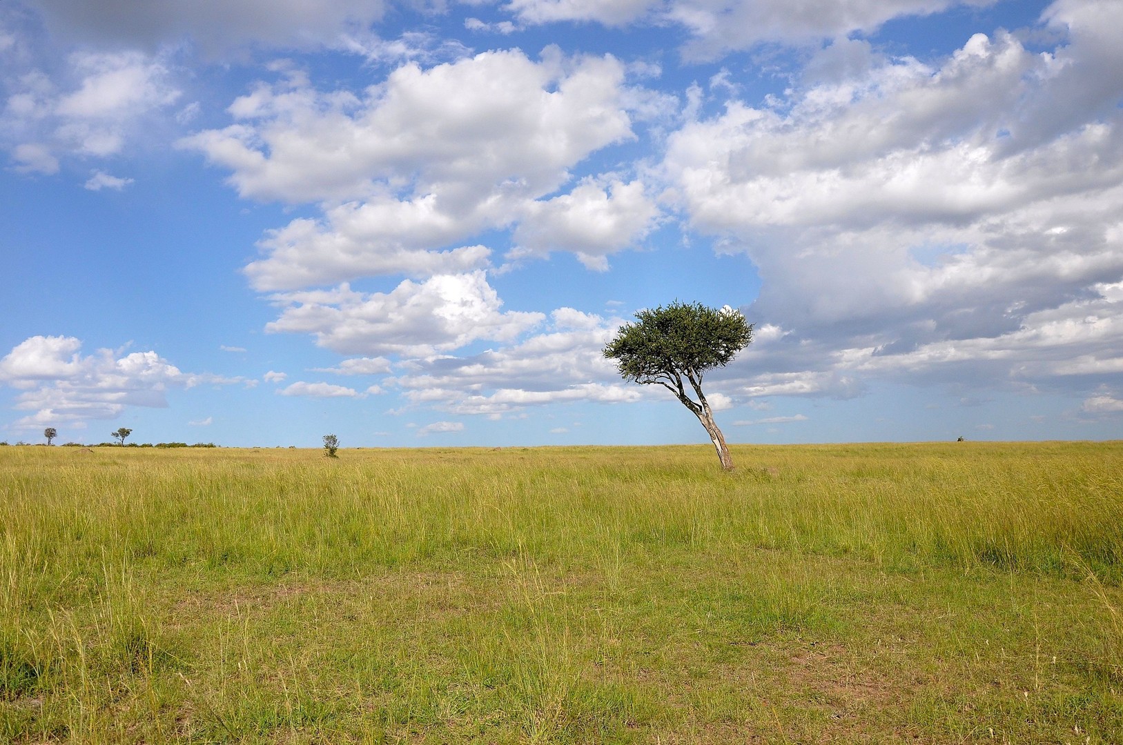 Naturtraum in Afrika