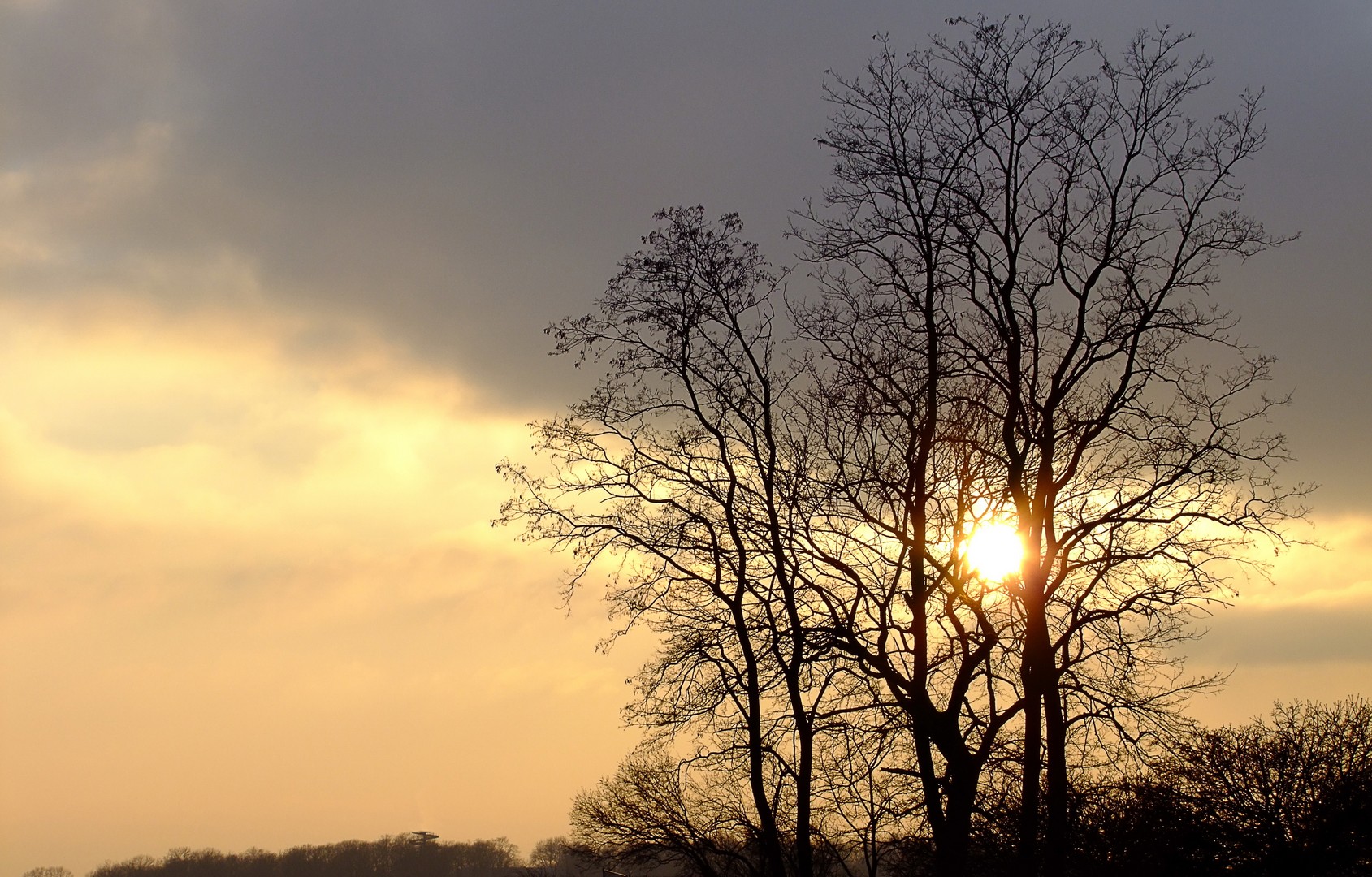  Sonne im Winter