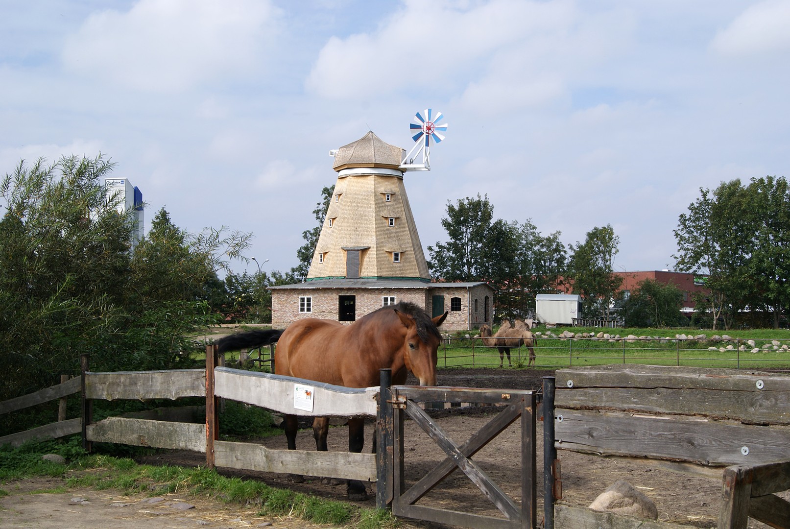 Pferd und Mühle