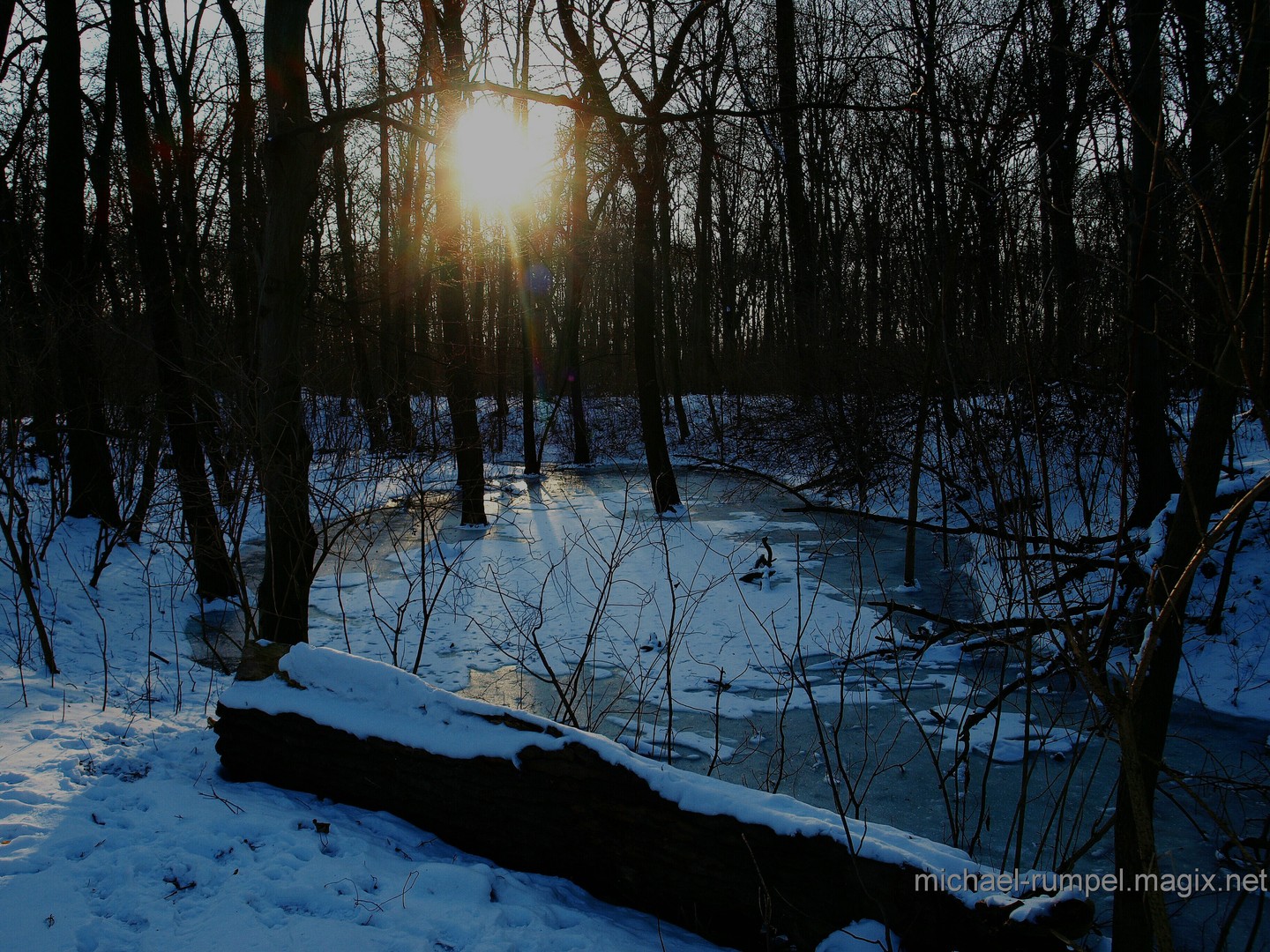 Letzter Wintergruß 