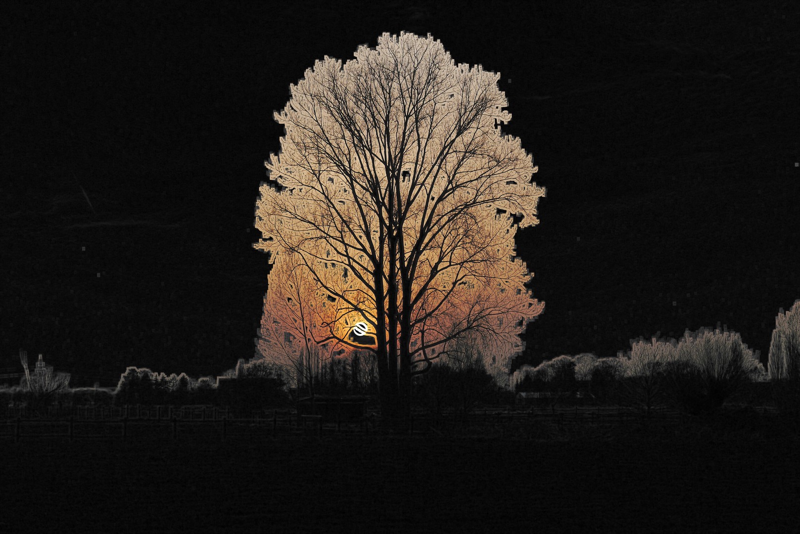 Baum in sonnemuntergang