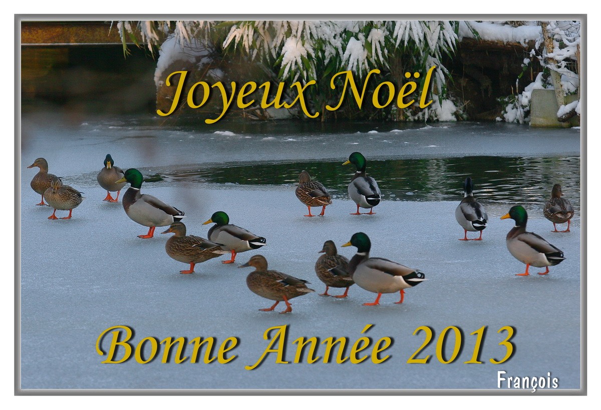 Bonne Année 2013 à tous les Magixiens