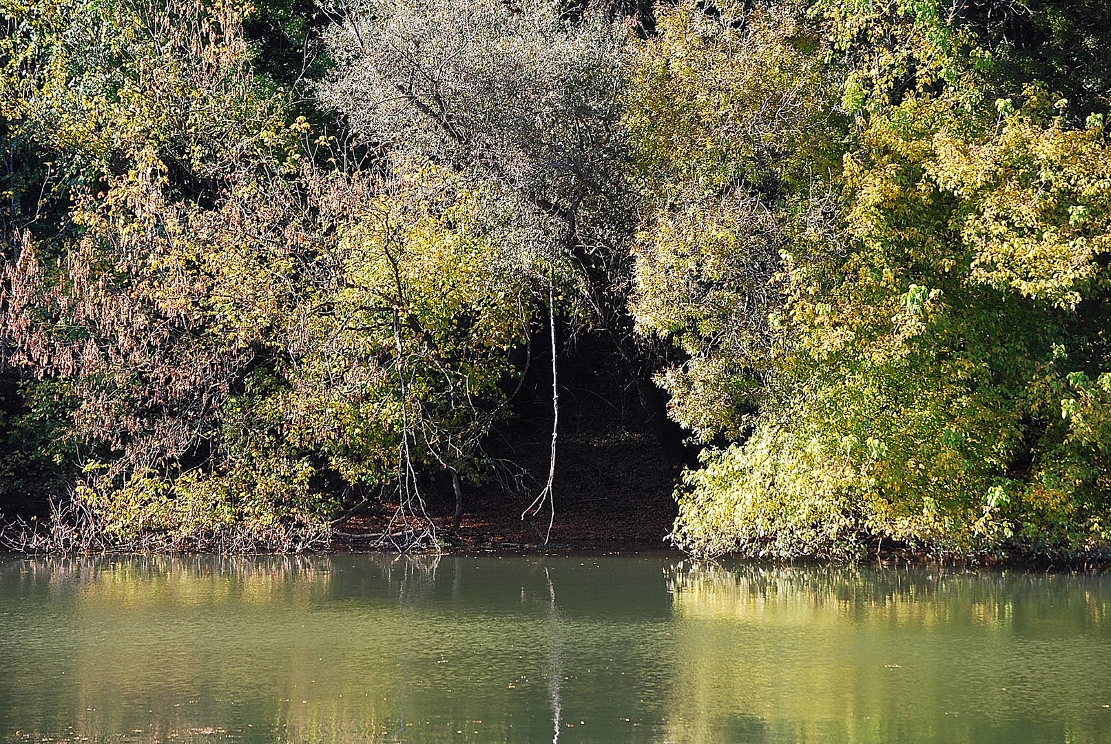 La Saône.