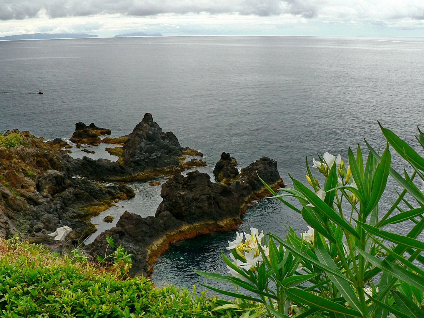 Entlang der Küste von Madeira