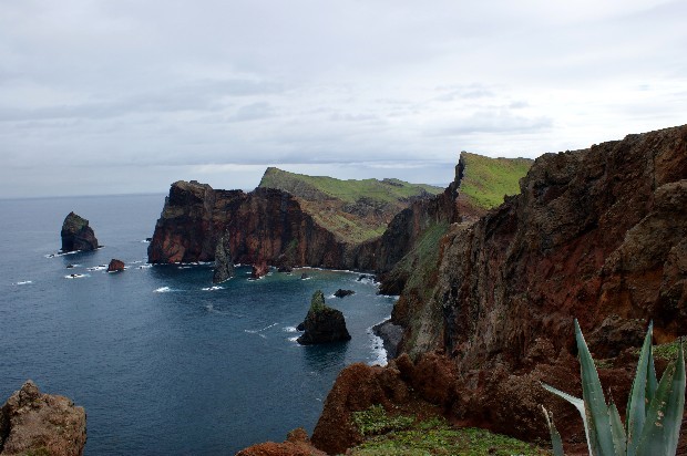 madeira