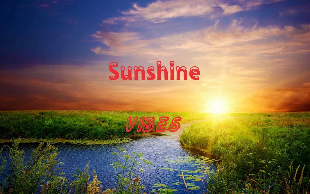 sunshine-vibes