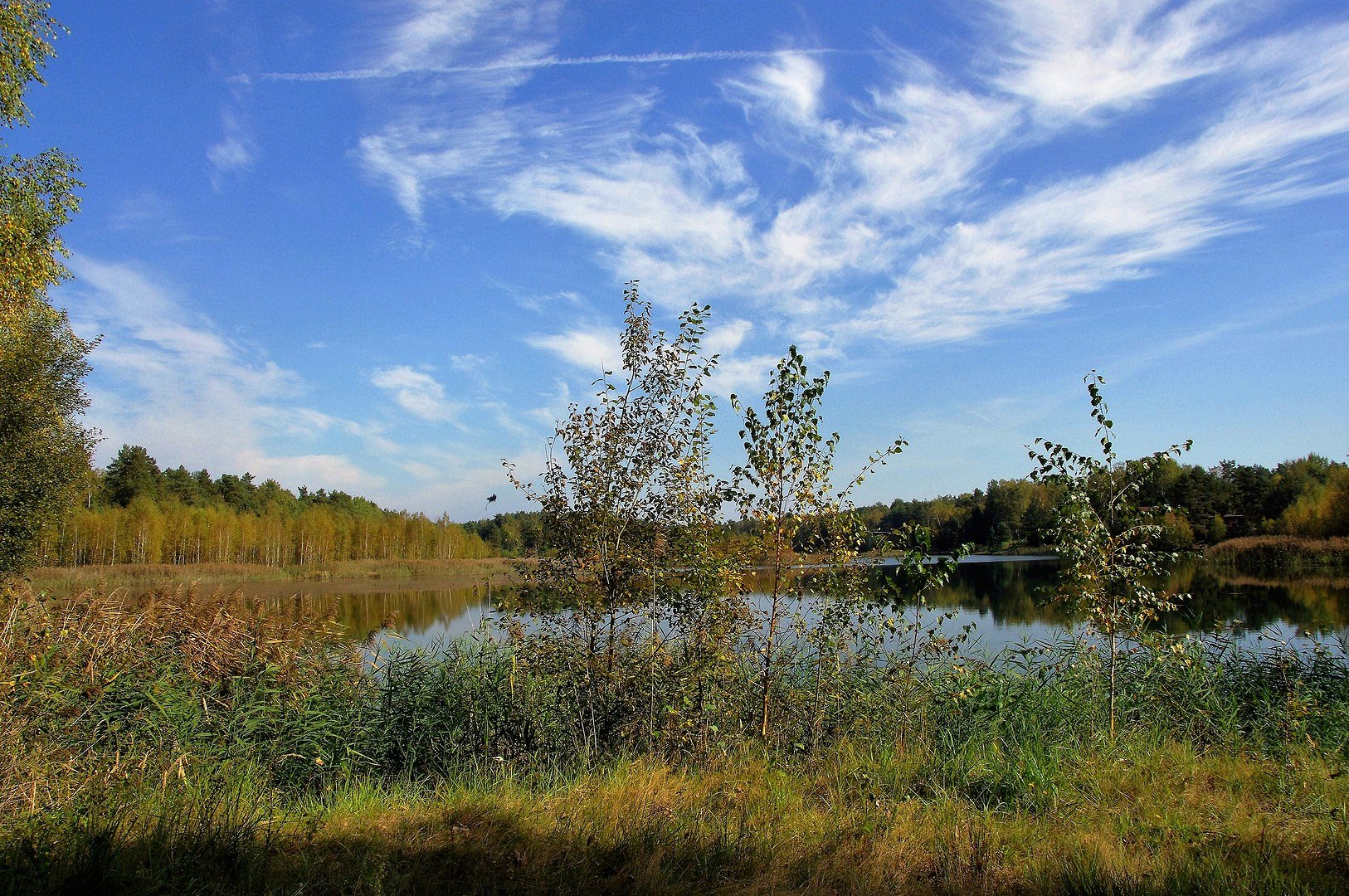 Herbstlich