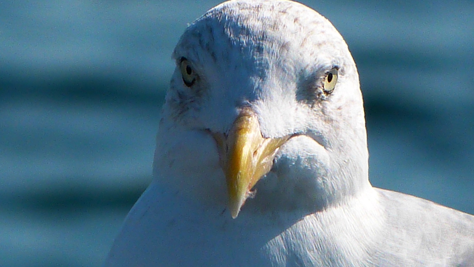 Was guckst du?