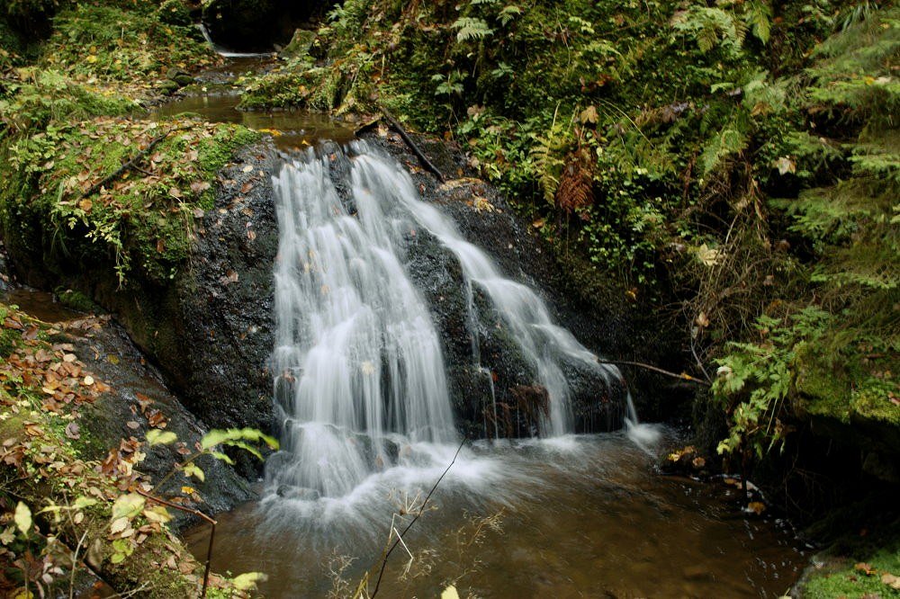 Ewig rauscht das Wasser