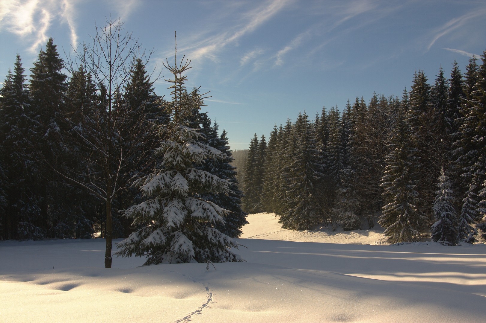 Spur im Schnee