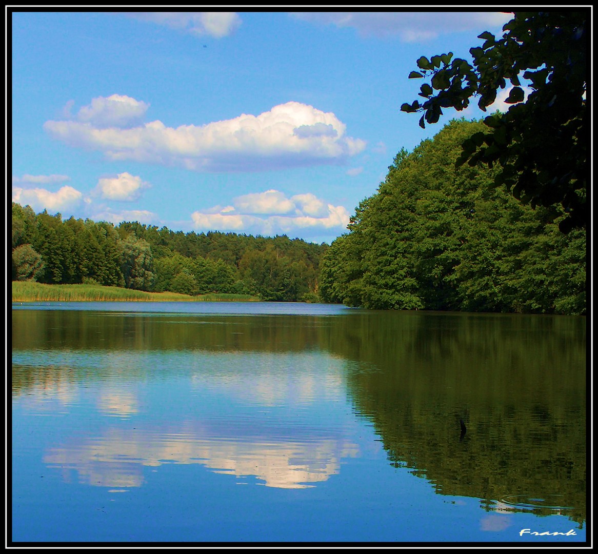 AM WEIHER (418)