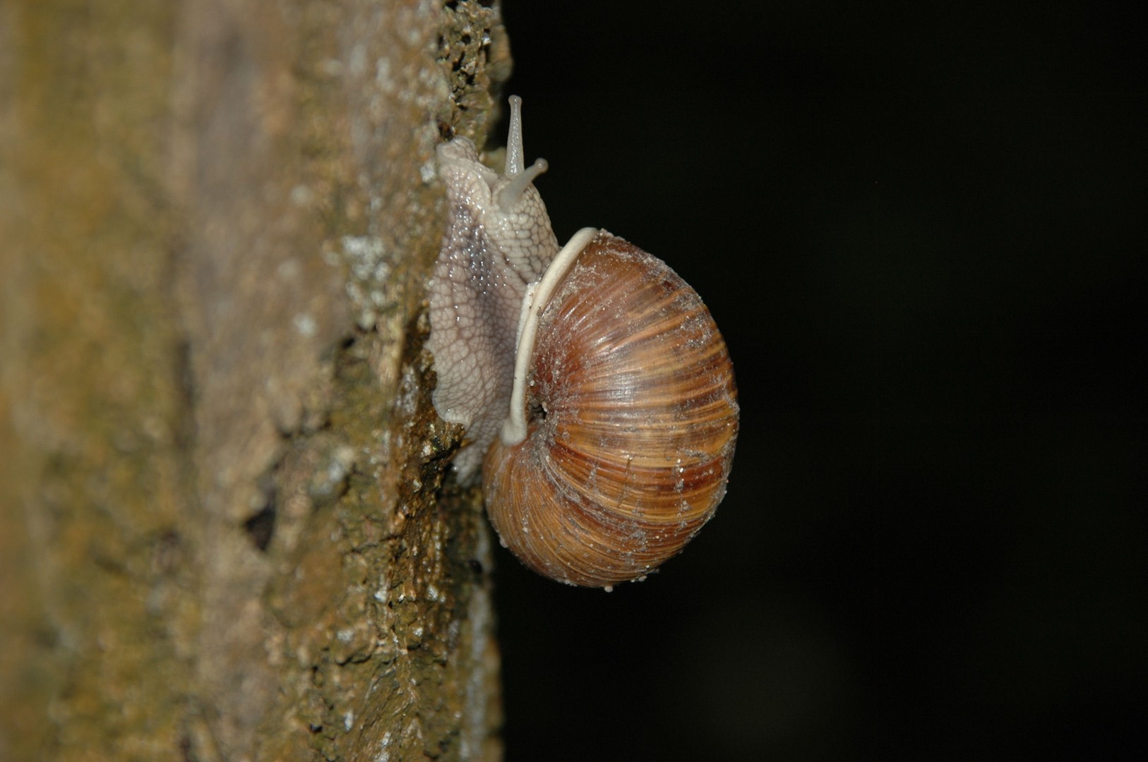 Auf der Flucht