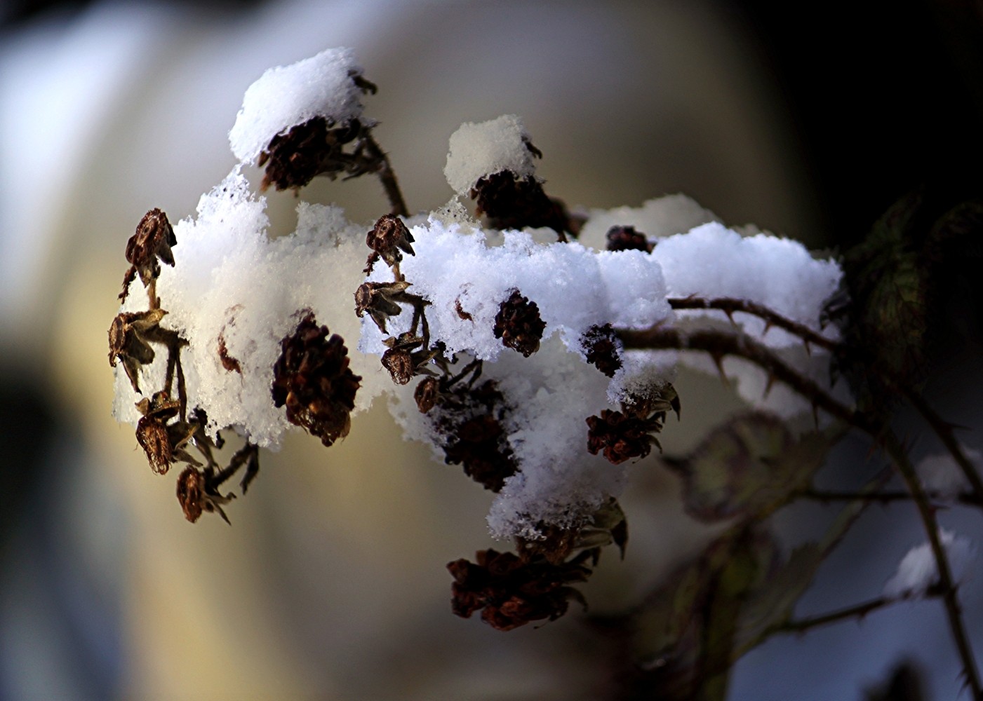 Winterbild