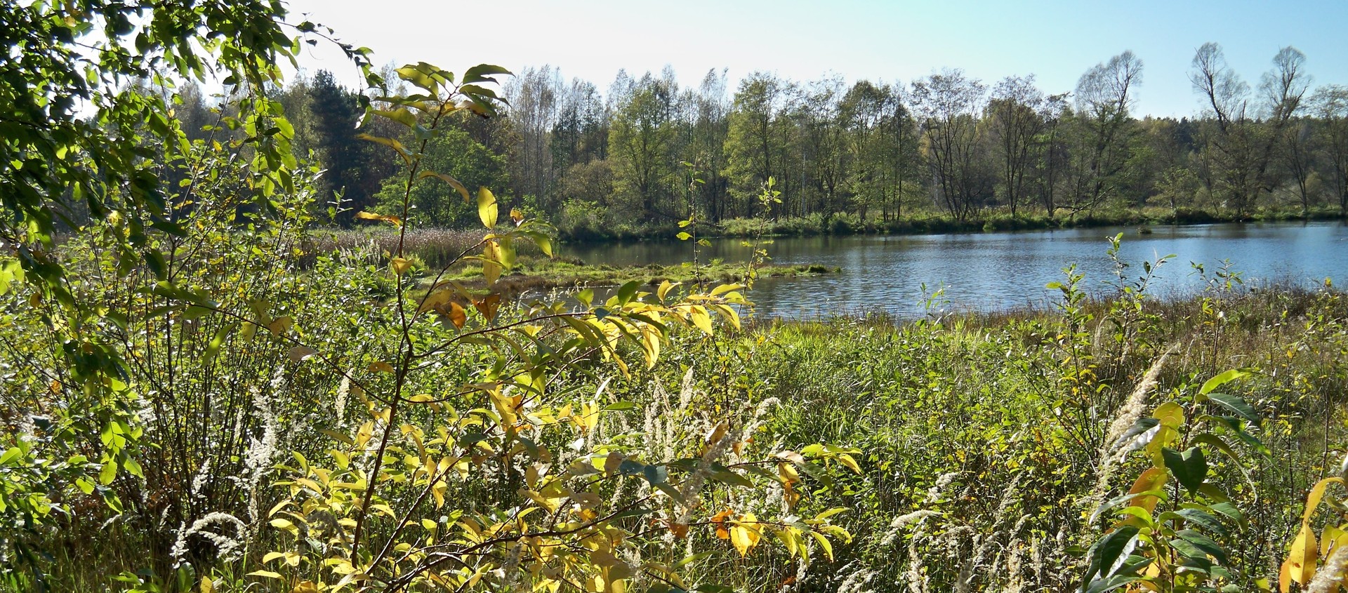 Flusslandschaft 