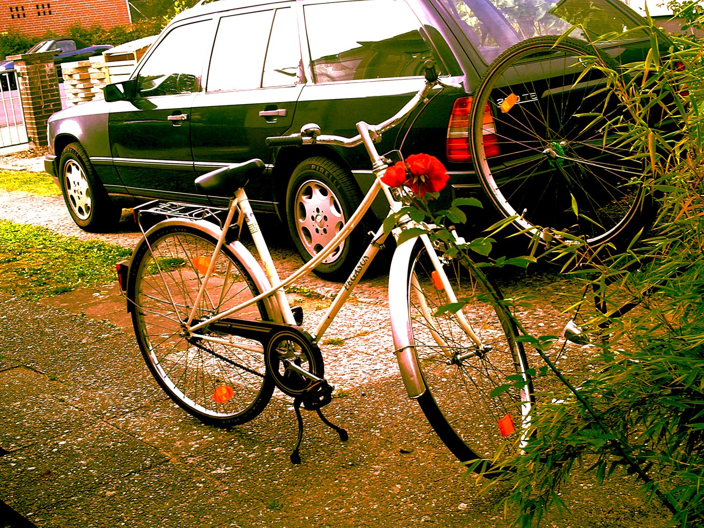 Bike on sunny Day