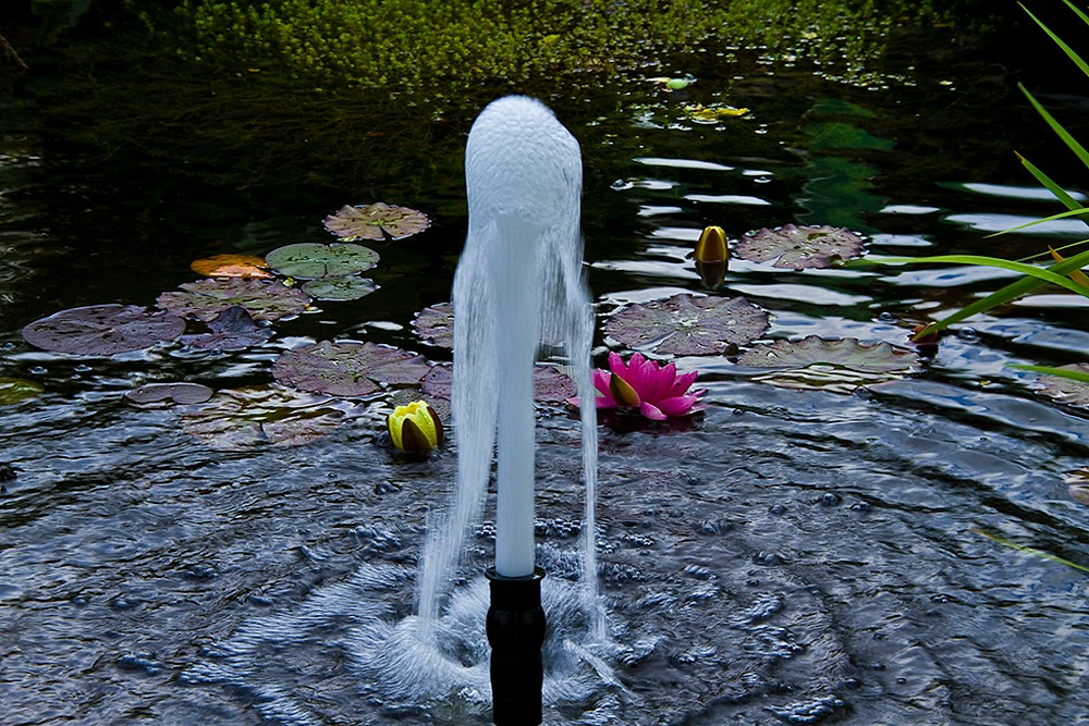 Wasserfontäne am Teich