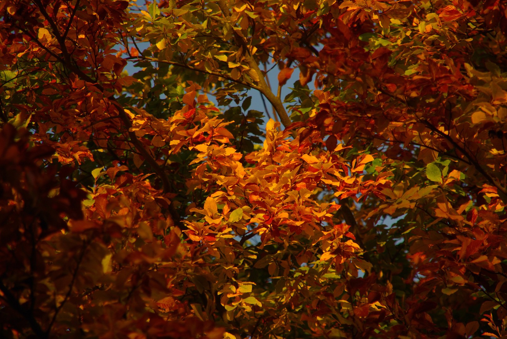 Farbspiel mit Licht und Schatten