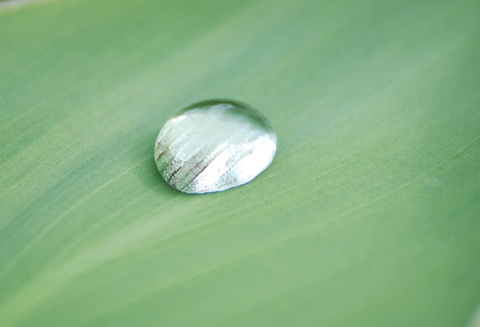 Goutte d'eau