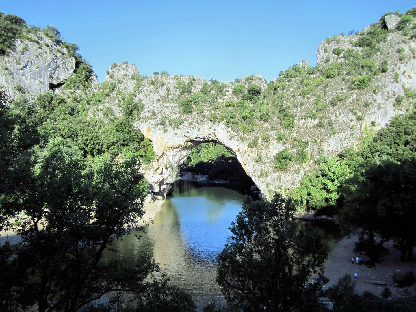 Natur Brücke