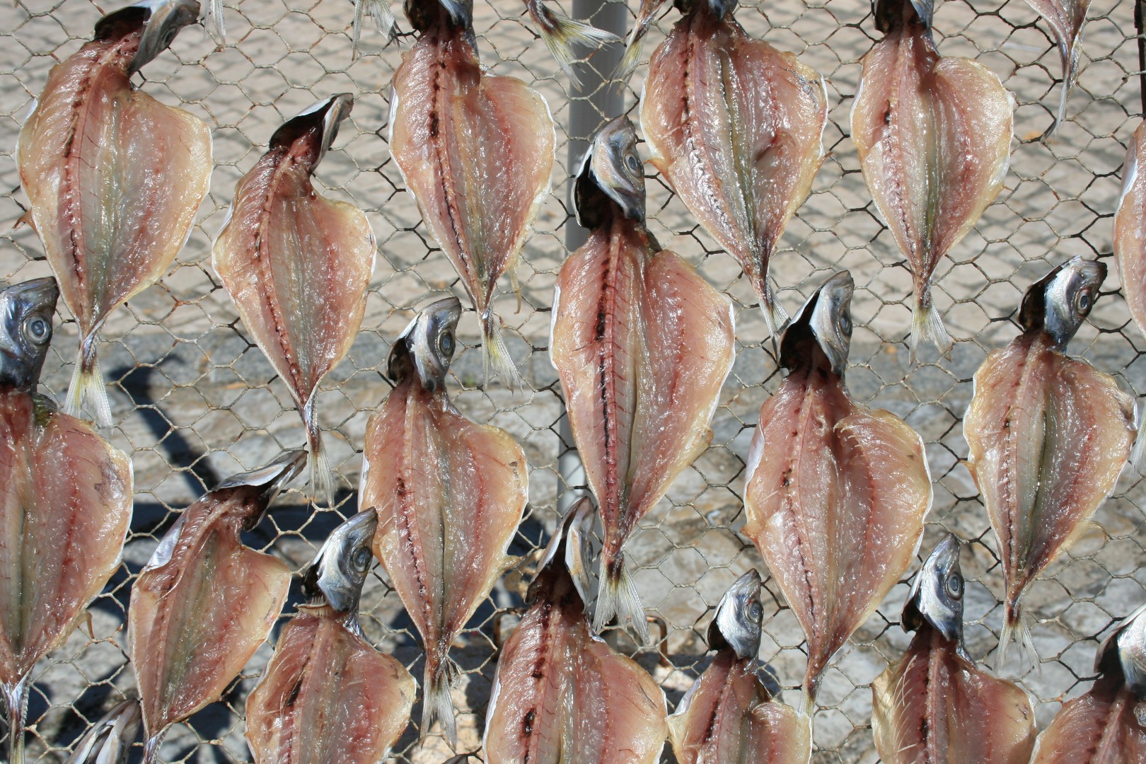 Poisson grillé écologiquement