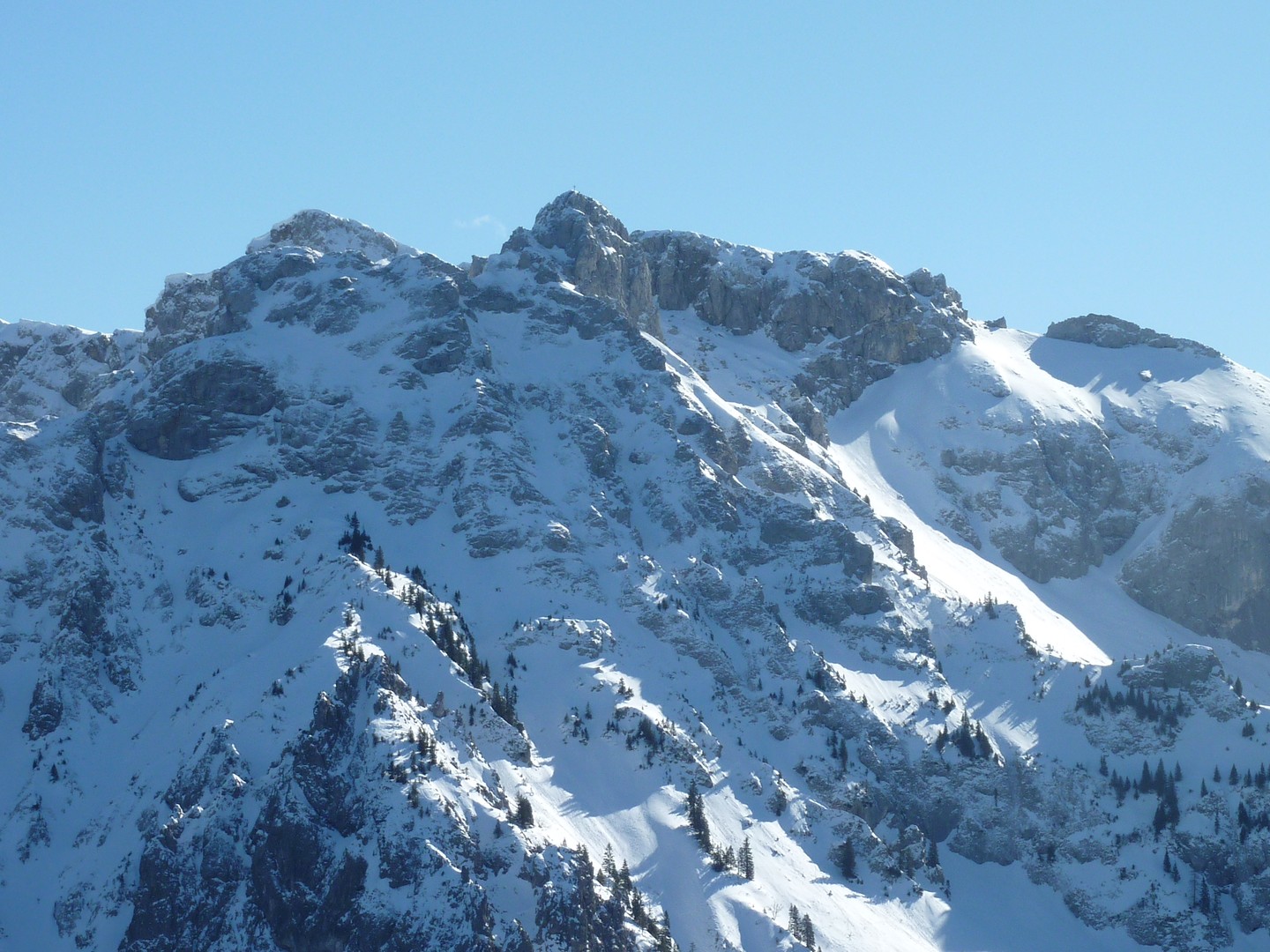 Gabelschrofen und Krähe in den Ammergauer Alpen