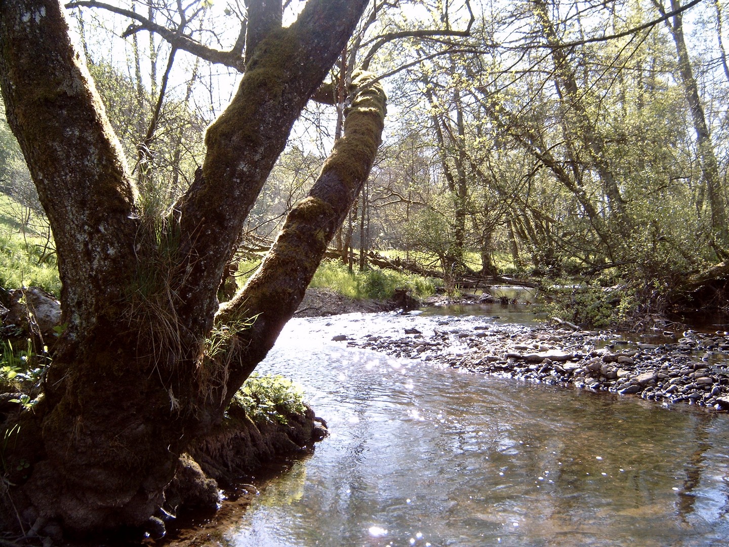 Krumme Windungen