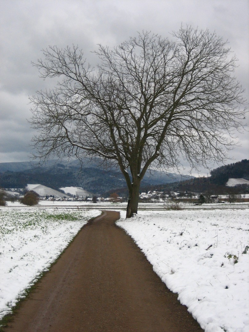 Der Winter ...