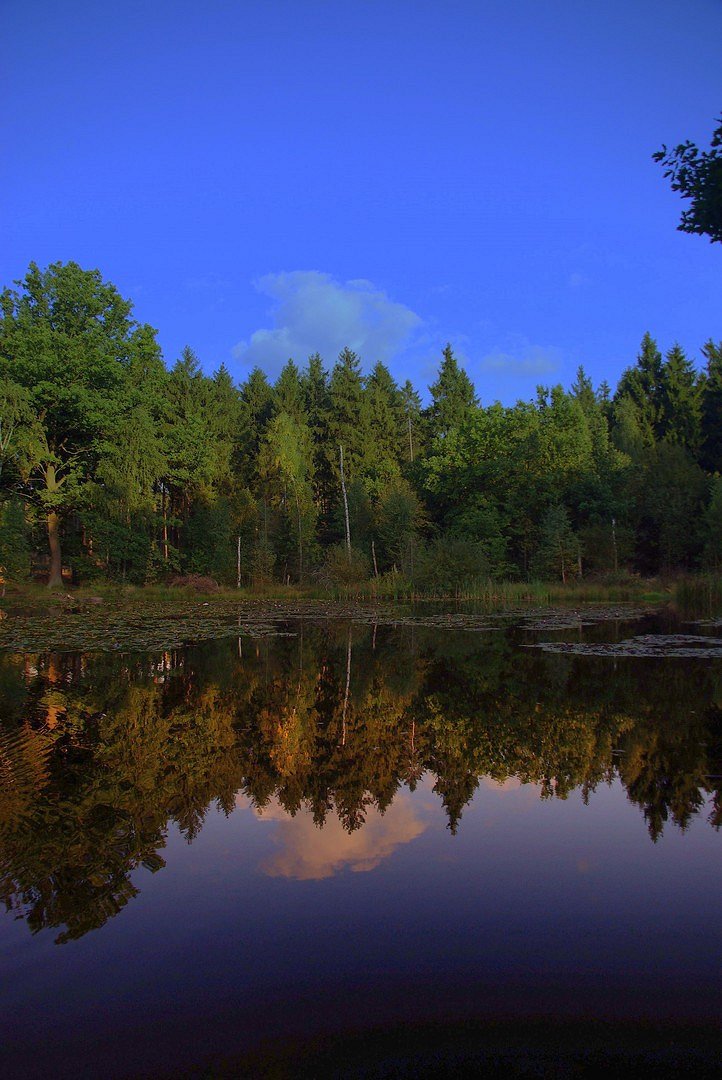 Spiegelung im Silbersee