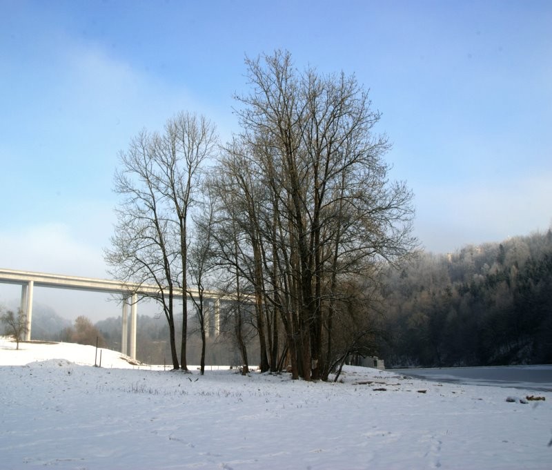 Brücke in der Natur