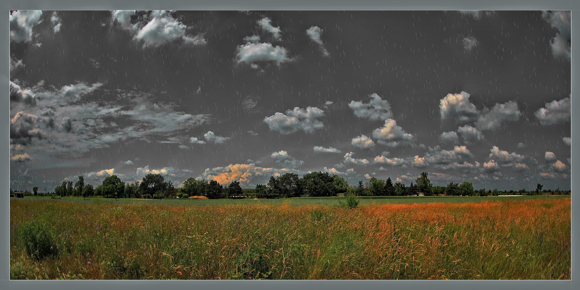 der Blick über die Wiese zum Horizont