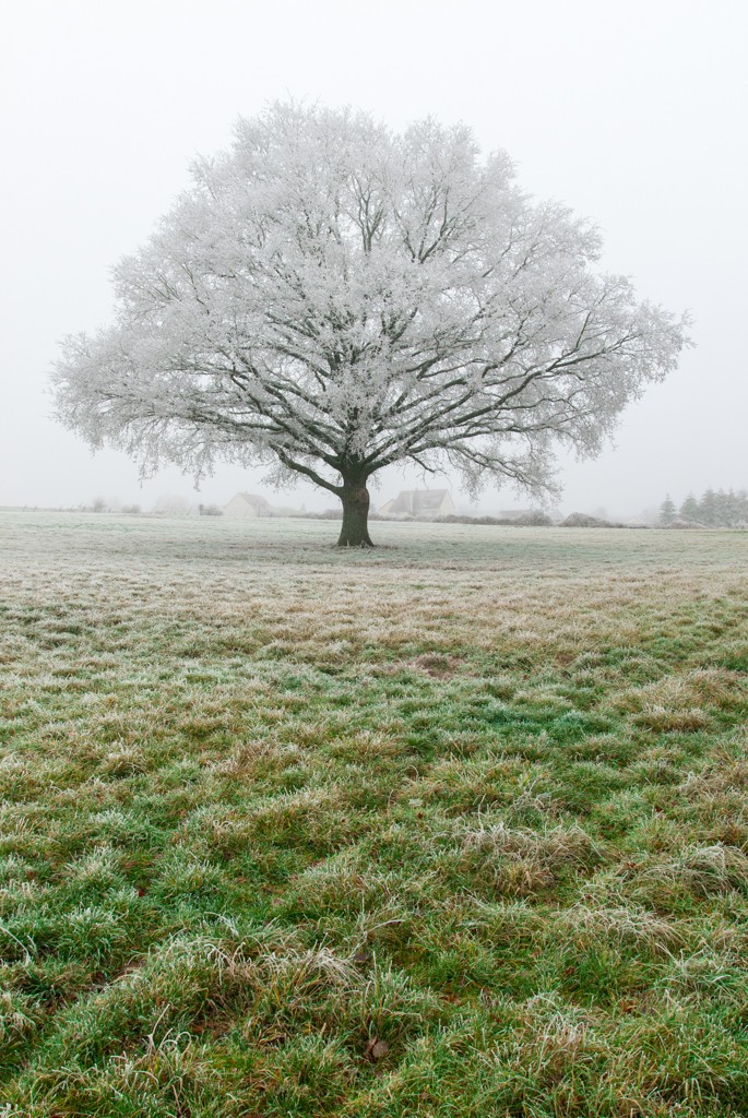 givre