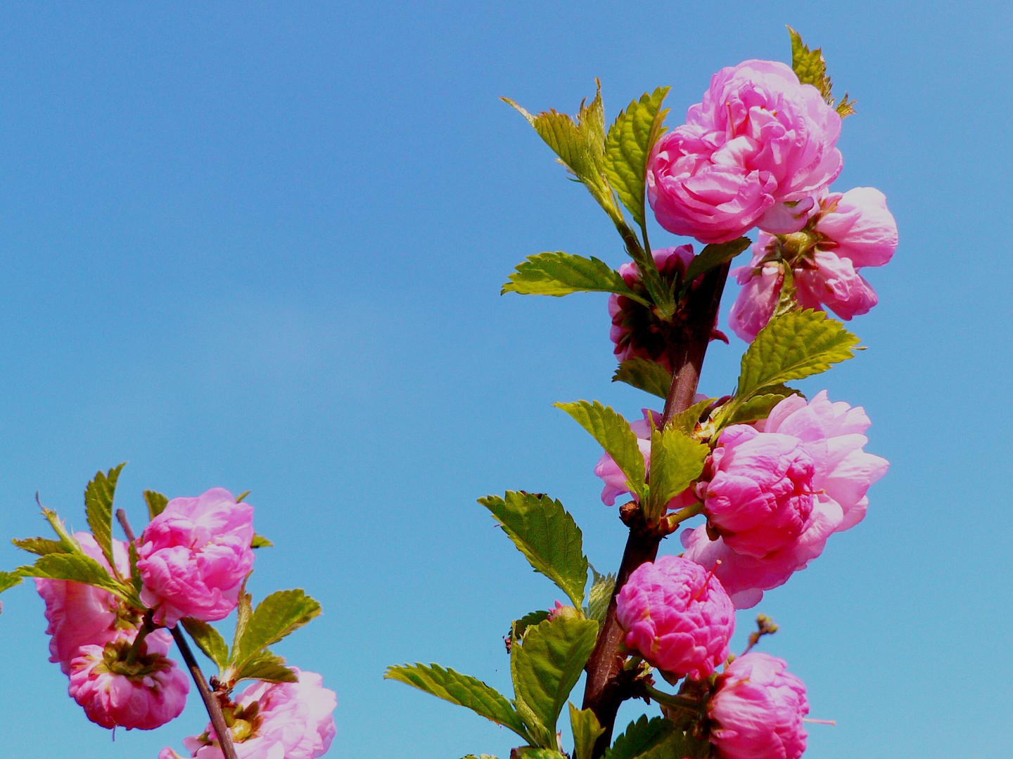 Frühling