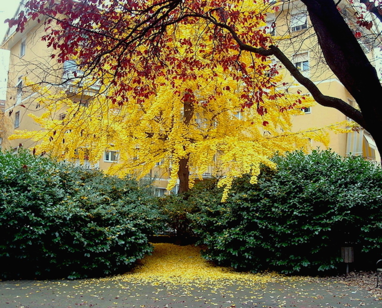 autunno a Bolzano