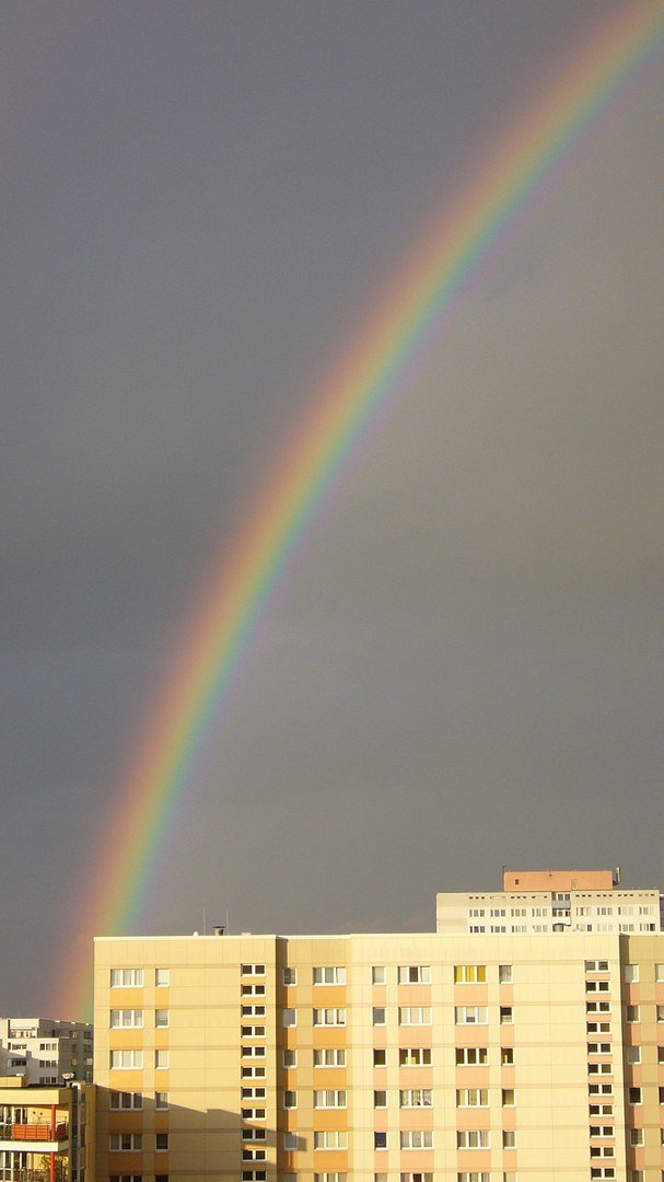 Regenbogen