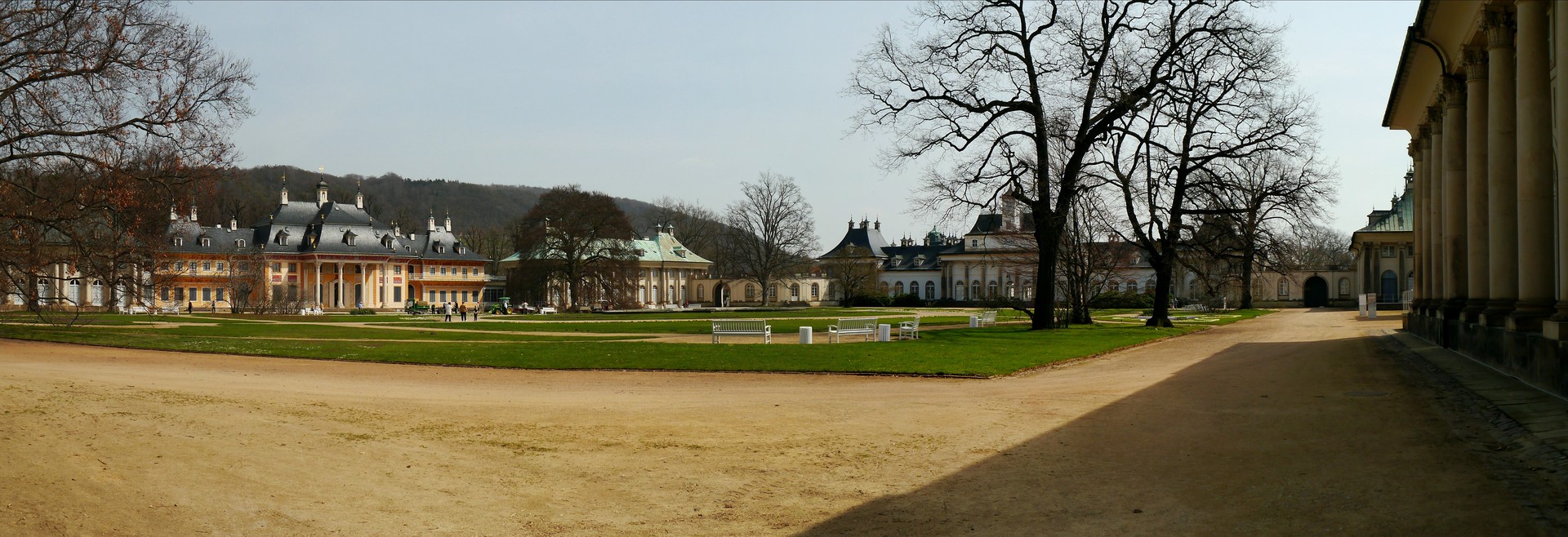 Frühlingserwachen in Pillnitz