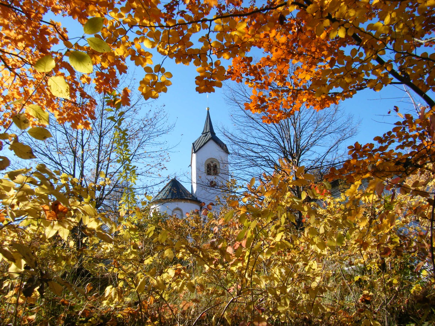 Herbststimmung