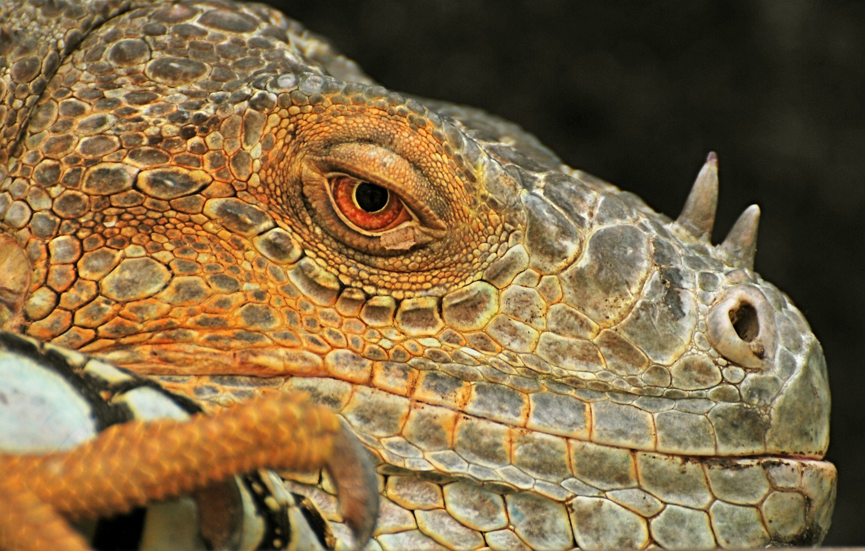 Zoo Antwerpen 