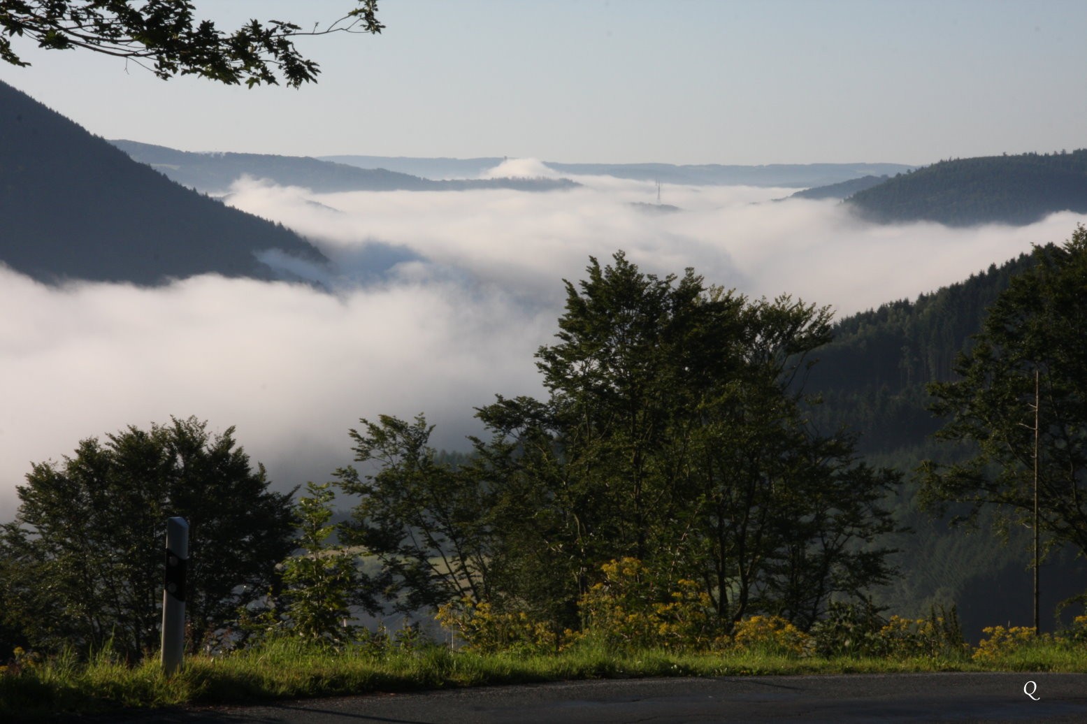 Morgennebel im Sauerland