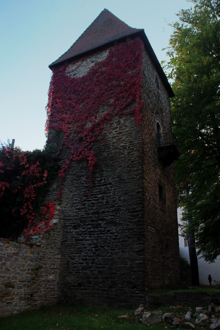 Herbstspaziergang