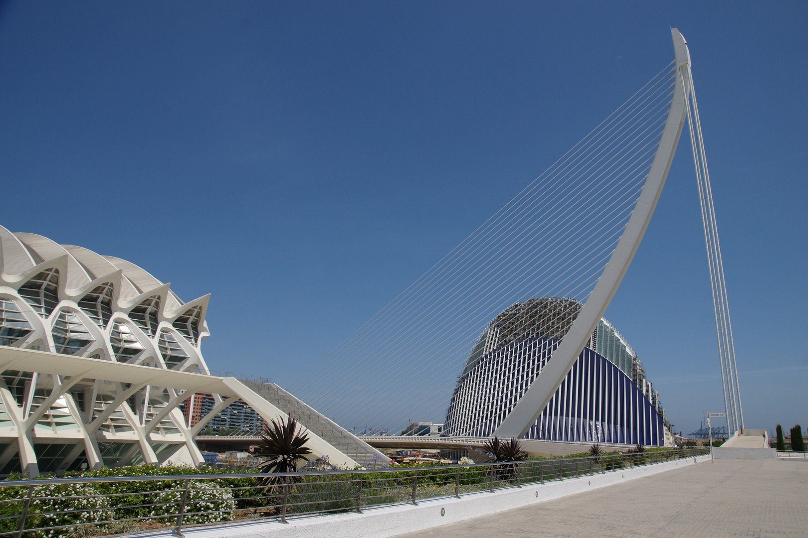 valence-espagne cite-des-arts-et-des-sciences