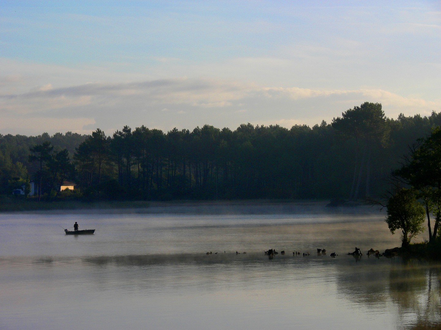 Morgenstimmung am See