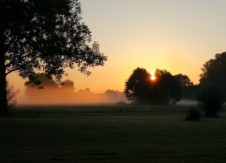 Sonnenaufgang bei Nebel