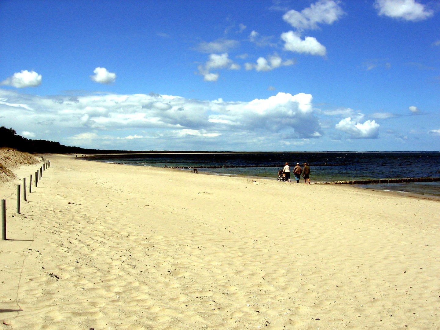 strand gut