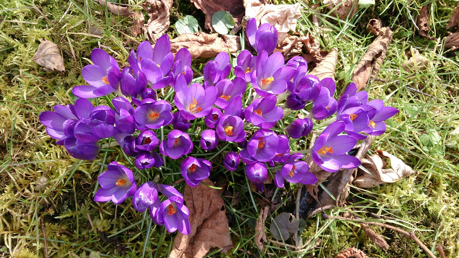 Frühling